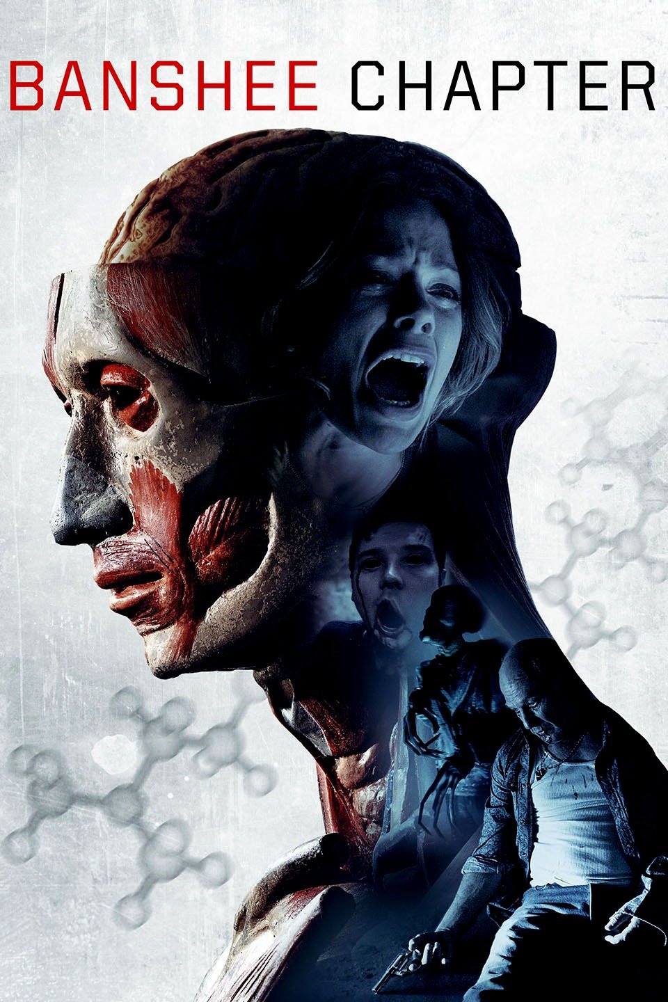 Banshee Chapter (2013) [374884] (A1750733957) [[Movies]] --Plex--
